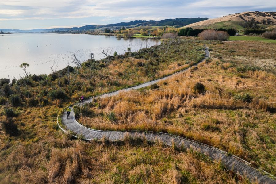 The wetlands at Lake Waihola